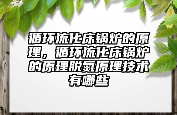 循環流化床鍋爐的原理，循環流化床鍋爐的原理脫氮原理技術有哪些