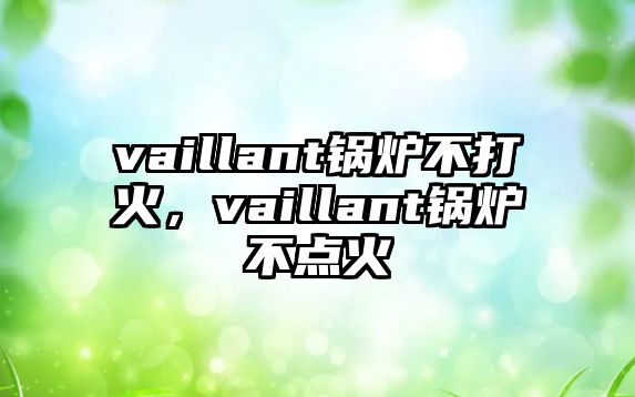 vaillant鍋爐不打火，vaillant鍋爐不點火