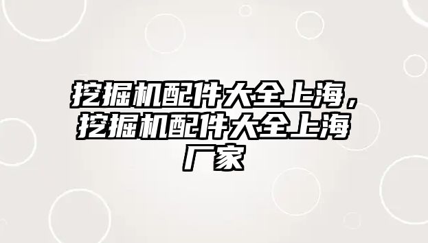 挖掘機(jī)配件大全上海，挖掘機(jī)配件大全上海廠家