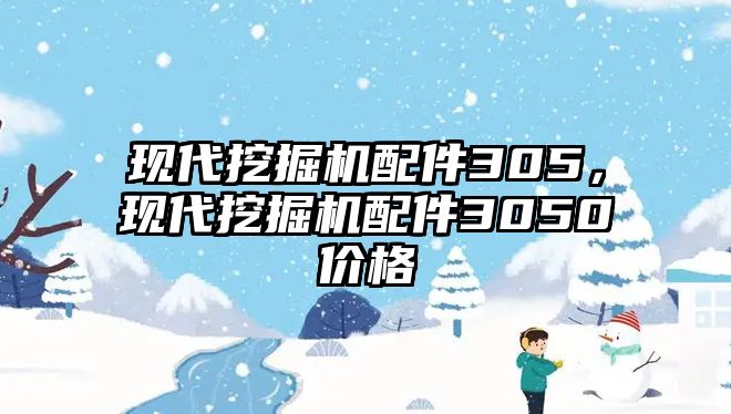 現代挖掘機配件305，現代挖掘機配件3050價格