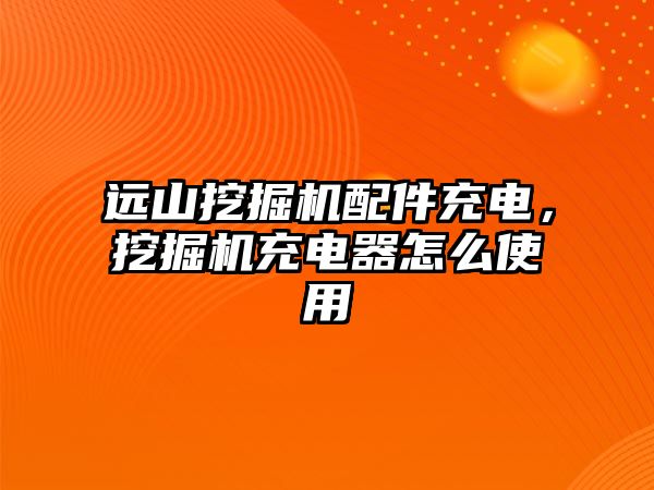 遠山挖掘機配件充電，挖掘機充電器怎么使用