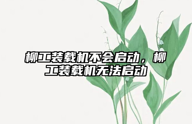 柳工裝載機不會啟動，柳工裝載機無法啟動