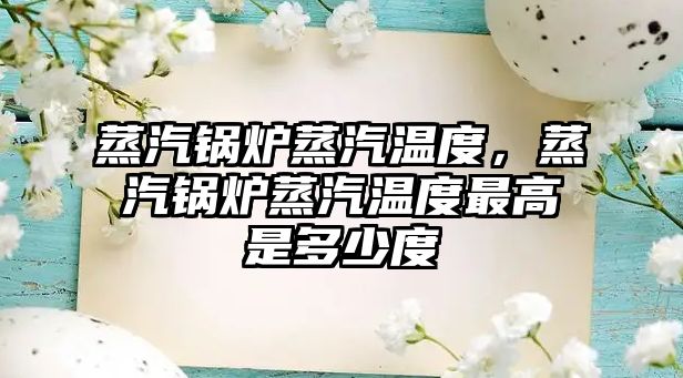 蒸汽鍋爐蒸汽溫度，蒸汽鍋爐蒸汽溫度最高是多少度