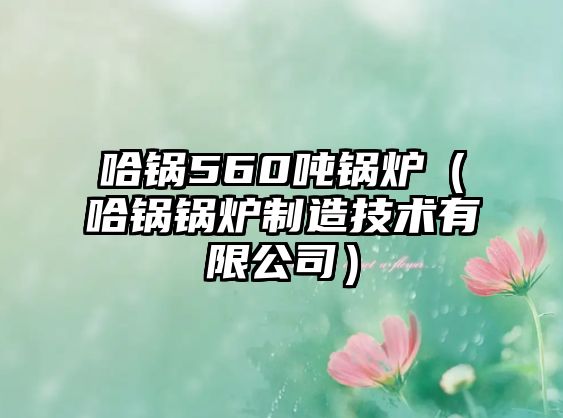 哈鍋560噸鍋爐（哈鍋鍋爐制造技術有限公司）