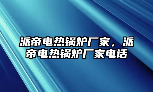 派帝電熱鍋爐廠家，派帝電熱鍋爐廠家電話