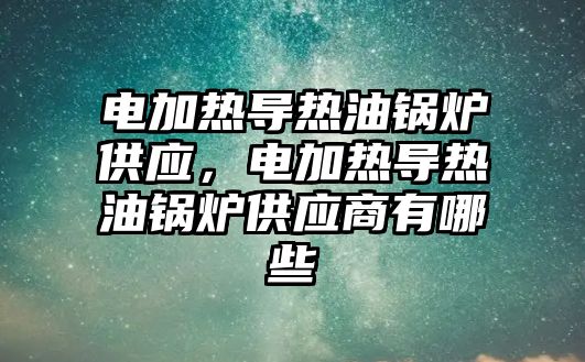 電加熱導熱油鍋爐供應，電加熱導熱油鍋爐供應商有哪些