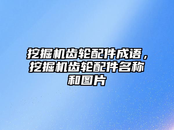 挖掘機齒輪配件成語，挖掘機齒輪配件名稱和圖片