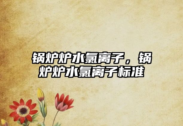 鍋爐爐水氯離子，鍋爐爐水氯離子標(biāo)準(zhǔn)