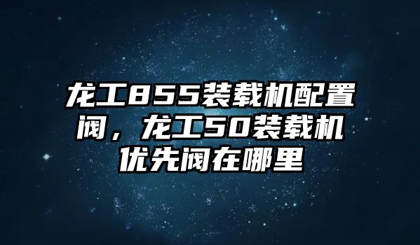 龍工855裝載機配置閥，龍工50裝載機優先閥在哪里