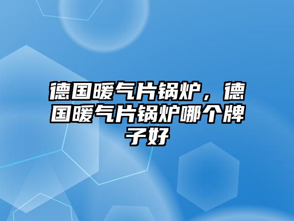 德國暖氣片鍋爐，德國暖氣片鍋爐哪個(gè)牌子好