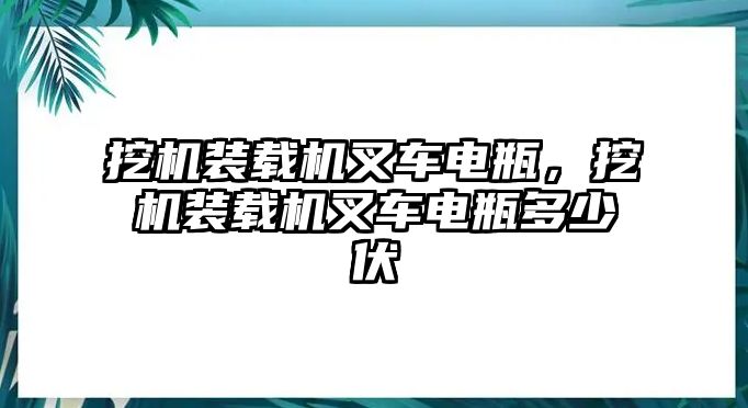 挖機(jī)裝載機(jī)叉車(chē)電瓶，挖機(jī)裝載機(jī)叉車(chē)電瓶多少伏