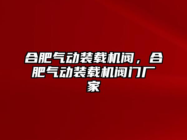 合肥氣動裝載機(jī)閥，合肥氣動裝載機(jī)閥門廠家