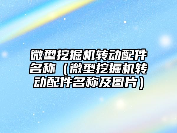 微型挖掘機轉動配件名稱（微型挖掘機轉動配件名稱及圖片）