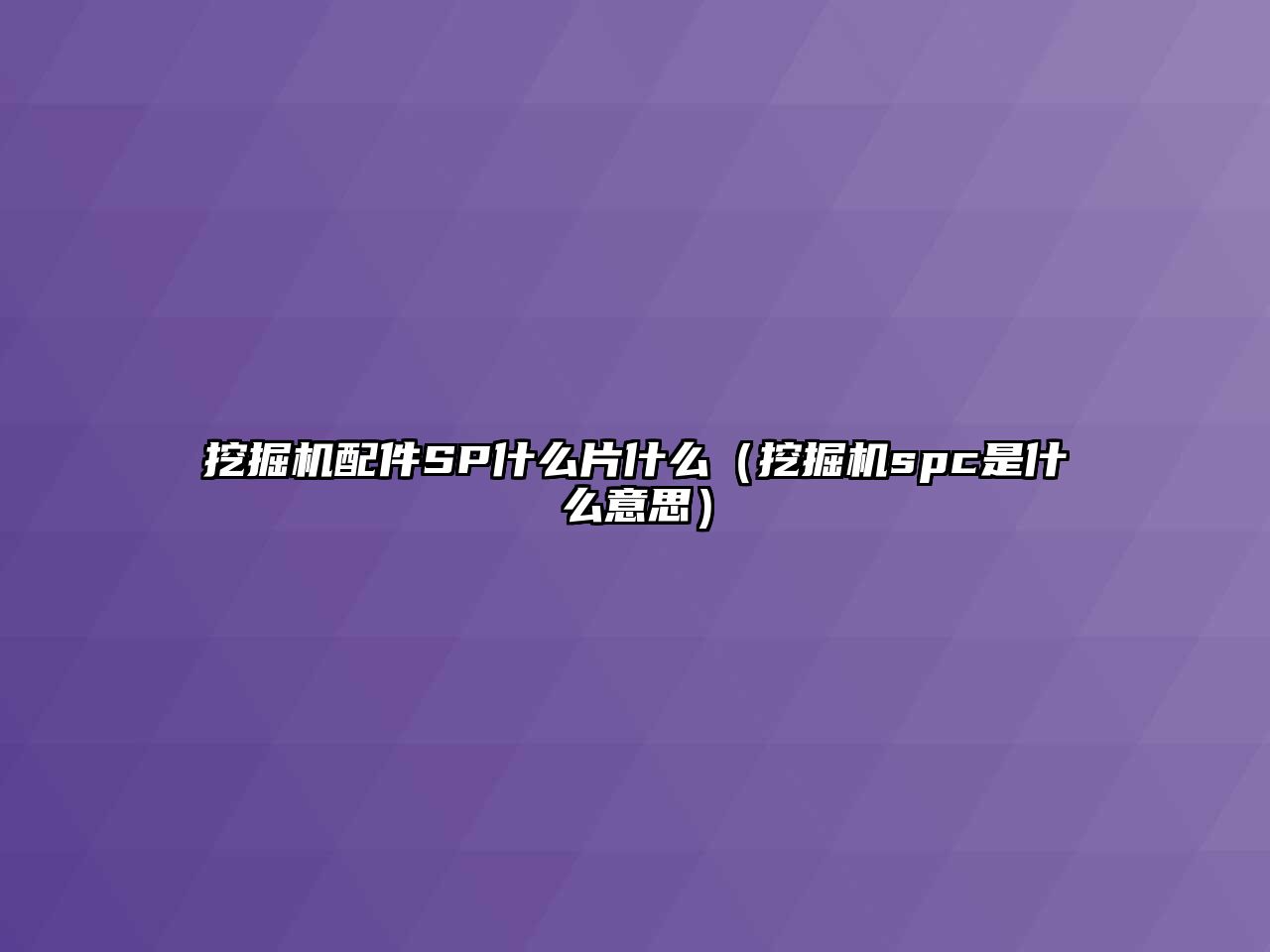 挖掘機配件SP什么片什么（挖掘機spc是什么意思）