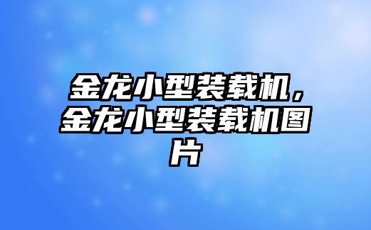 金龍小型裝載機(jī)，金龍小型裝載機(jī)圖片