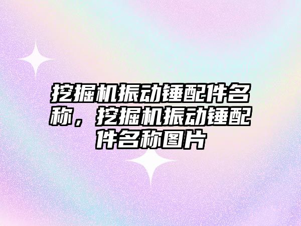 挖掘機振動錘配件名稱，挖掘機振動錘配件名稱圖片