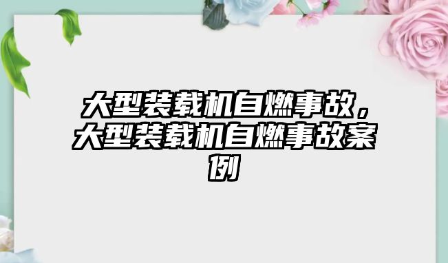 大型裝載機自燃事故，大型裝載機自燃事故案例