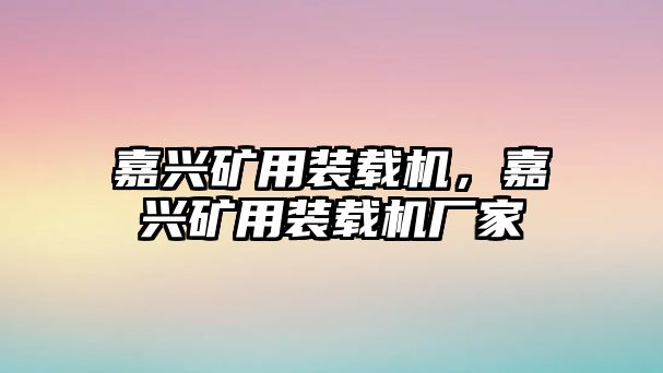 嘉興礦用裝載機(jī)，嘉興礦用裝載機(jī)廠家