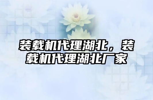 裝載機代理湖北，裝載機代理湖北廠家