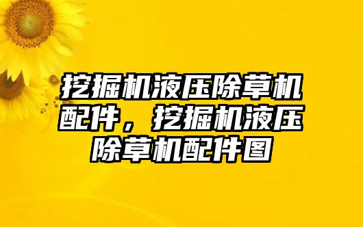 挖掘機液壓除草機配件，挖掘機液壓除草機配件圖