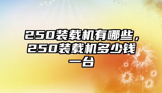 250裝載機(jī)有哪些，250裝載機(jī)多少錢(qián)一臺(tái)