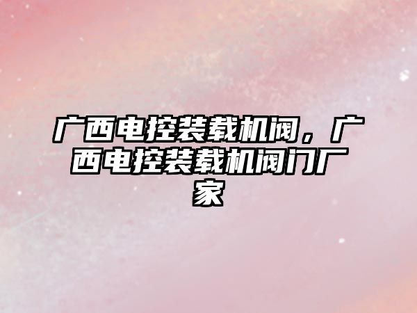 廣西電控裝載機閥，廣西電控裝載機閥門廠家