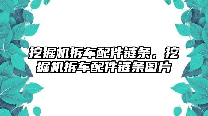 挖掘機拆車配件鏈條，挖掘機拆車配件鏈條圖片