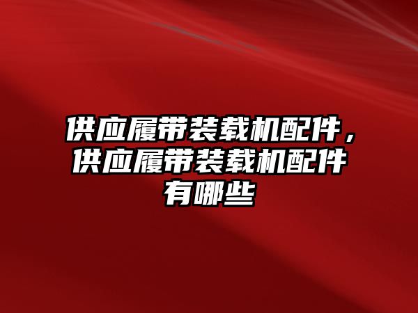 供應履帶裝載機配件，供應履帶裝載機配件有哪些