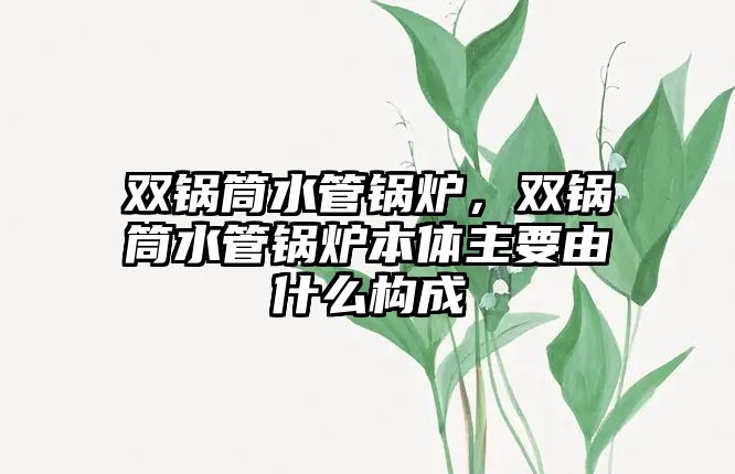 雙鍋筒水管鍋爐，雙鍋筒水管鍋爐本體主要由什么構(gòu)成