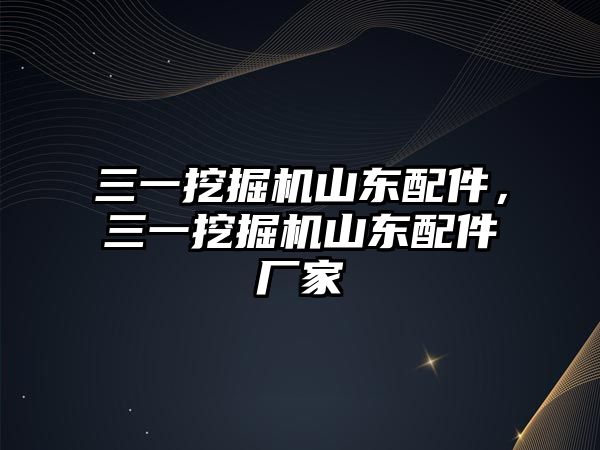 三一挖掘機山東配件，三一挖掘機山東配件廠家