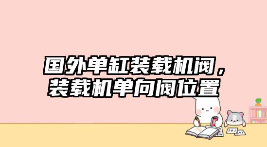 國外單缸裝載機閥，裝載機單向閥位置