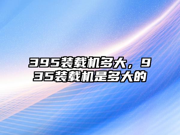 395裝載機多大，935裝載機是多大的