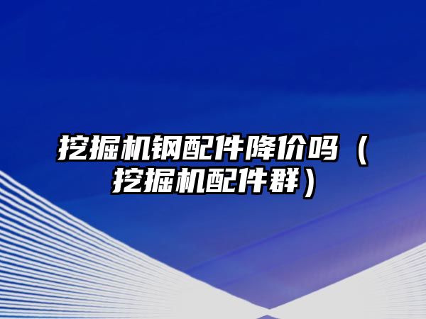 挖掘機鋼配件降價嗎（挖掘機配件群）