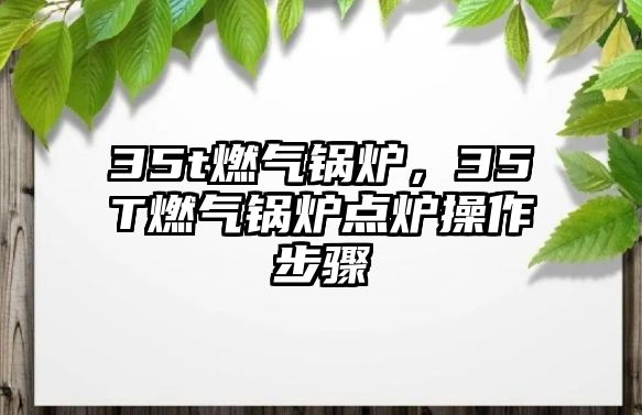 35t燃?xì)忮仩t，35T燃?xì)忮仩t點爐操作步驟