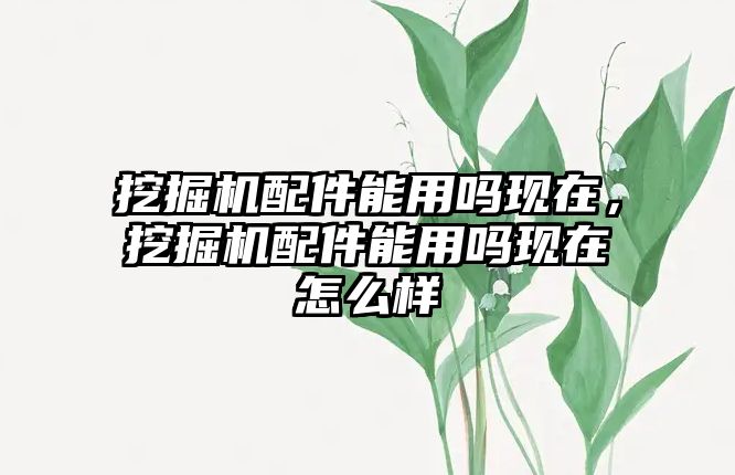 挖掘機配件能用嗎現在，挖掘機配件能用嗎現在怎么樣