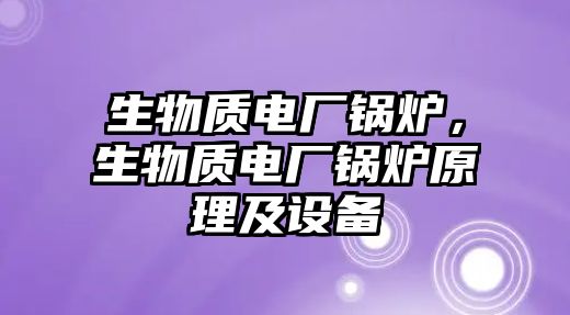 生物質電廠鍋爐，生物質電廠鍋爐原理及設備