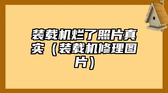 裝載機爛了照片真實（裝載機修理圖片）