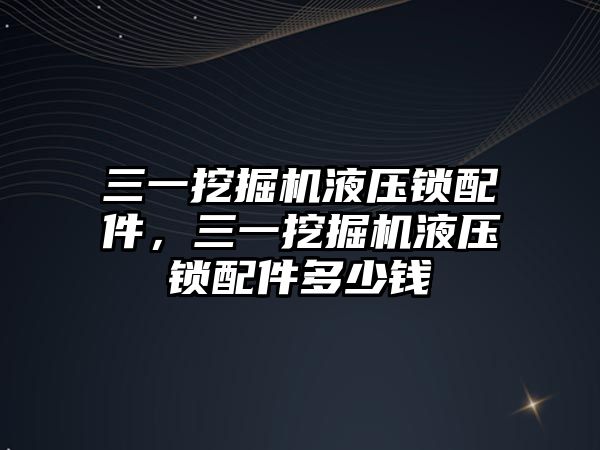 三一挖掘機液壓鎖配件，三一挖掘機液壓鎖配件多少錢