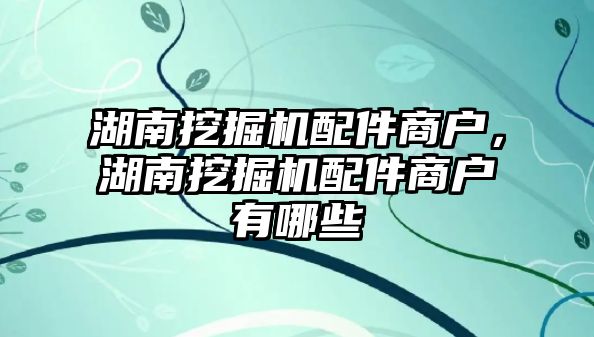 湖南挖掘機配件商戶，湖南挖掘機配件商戶有哪些