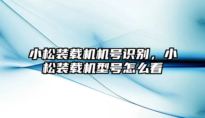 小松裝載機機號識別，小松裝載機型號怎么看