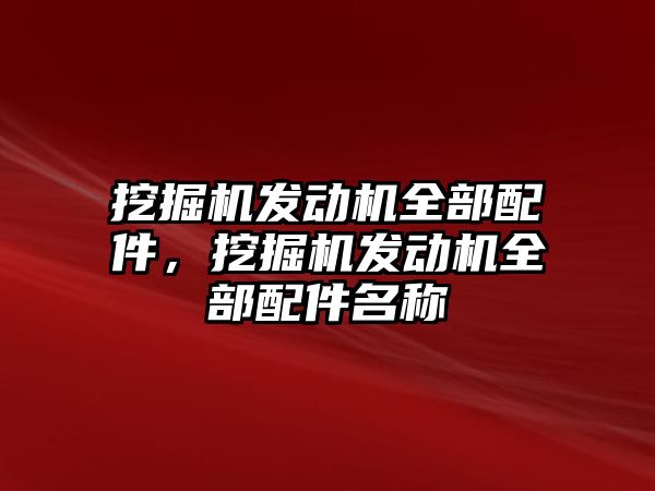 挖掘機發動機全部配件，挖掘機發動機全部配件名稱