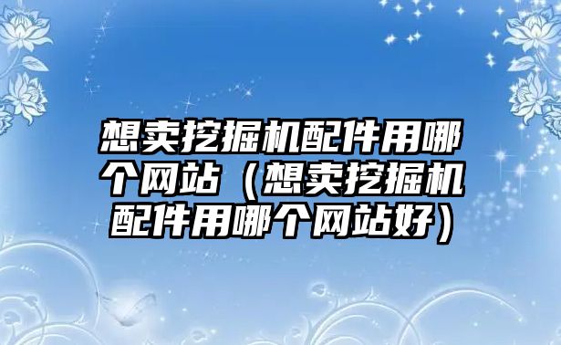 想賣挖掘機配件用哪個網(wǎng)站（想賣挖掘機配件用哪個網(wǎng)站好）