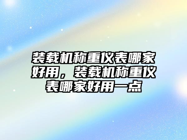 裝載機稱重儀表哪家好用，裝載機稱重儀表哪家好用一點