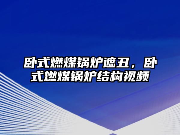 臥式燃煤鍋爐遮丑，臥式燃煤鍋爐結構視頻