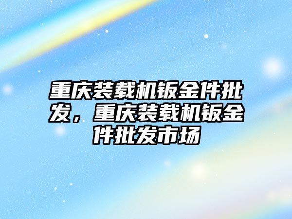 重慶裝載機鈑金件批發(fā)，重慶裝載機鈑金件批發(fā)市場