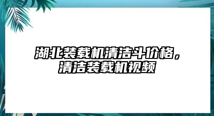 湖北裝載機(jī)清潔斗價(jià)格，清潔裝載機(jī)視頻