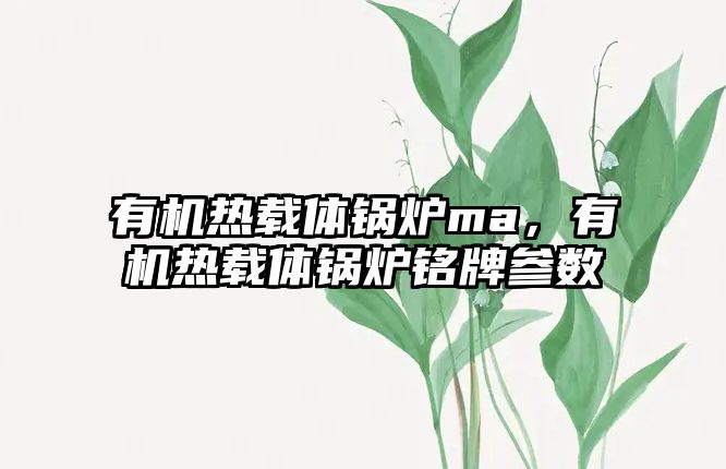 有機熱載體鍋爐ma，有機熱載體鍋爐銘牌參數