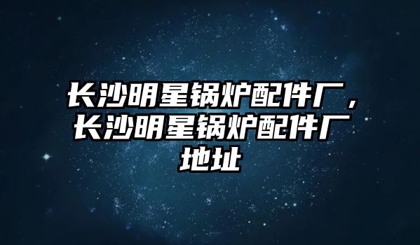 長沙明星鍋爐配件廠，長沙明星鍋爐配件廠地址