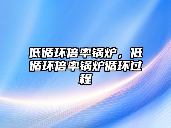 低循環倍率鍋爐，低循環倍率鍋爐循環過程