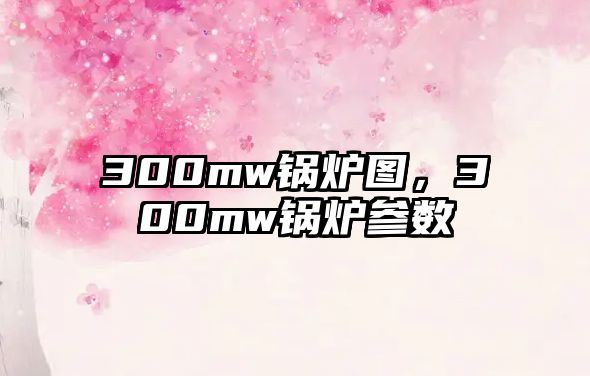 300mw鍋爐圖，300mw鍋爐參數